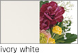 ivory white