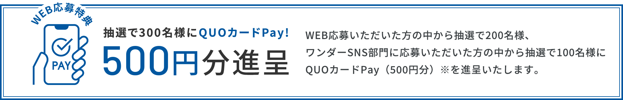 WEB応募いただいた方の中から抽選で200名様、ワンダーSNS部門に応募いただいた方の中から抽選で100名様にQUOカードPay(500円分)※を進呈いたします。