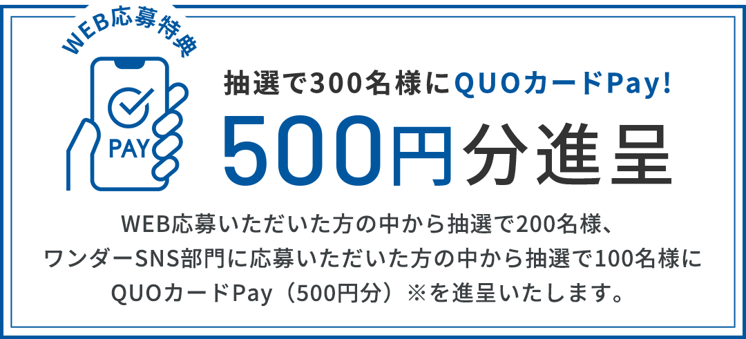 WEB応募いただいた方の中から抽選で200名様、ワンダーSNS部門に応募いただいた方の中から抽選で100名様にQUOカードPay(500円分)※を進呈いたします。