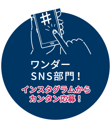 ワンダーSNS部門新設！