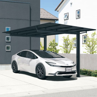 ニューマイリッシュ